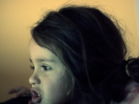 2011-02-ferrero-bordes-01