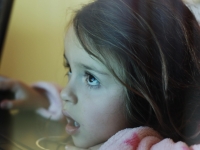2011-02-ferrero-bordes-02