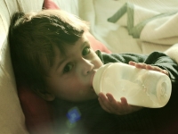 2011-02-ferrero-bordes-04