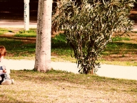 sarah-curro-dani
