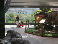 paseando-entre-dinosaurios-01