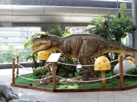 paseando-entre-dinosaurios-03