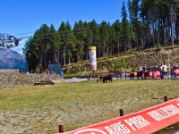 verano-andorra-2011-24