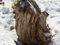 Valdelinares-2012-2-021