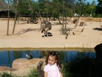 bioparc_101009_07