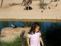 bioparc_101009_08