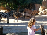 bioparc_101009_10