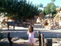 bioparc_101009_11