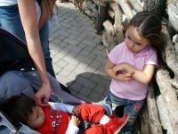 ferrero-bordes-bioparc-21