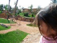ferrero-bordes-bioparc-23