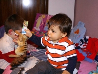 dani-cumple1-62_s