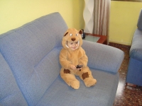 dani-oso_5