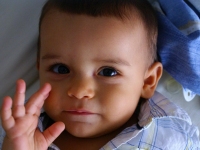 SONY DSC