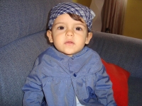 fallas-2010-11