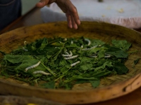 thai-silk-03