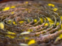 thai-silk-04