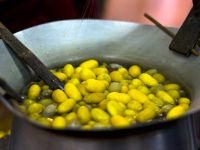 thai-silk-05