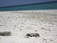 Tailandia-Krabi-2011-20