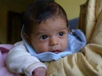 SONY DSC