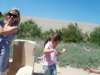 en-la-playa-saler-3549