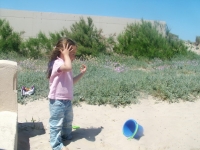 en-la-playa-saler-3552