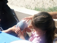 en-la-playa-saler-3555