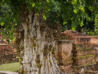 thailand-ayutthaya-06