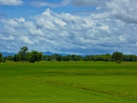 thailand-ayutthaya-2-06