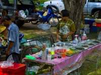 thailand-ayutthaya-2-29