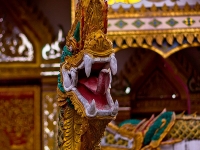 thailand-ayutthaya-41