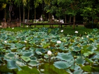 thailand-ayutthaya-53