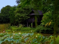 thailand-ayutthaya-54