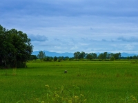 thailand-day-5-19