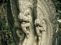 thailand-day-6-06