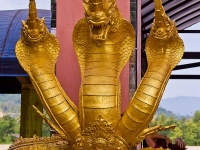 thailand-day-6-29