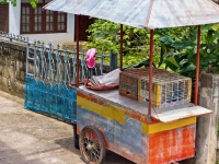 thailand-day6-part3-22