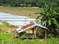 thailand-day6-part3-67