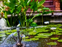 thailand-day6-part3-74