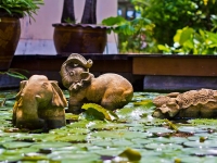 thailand-day6-part3-76