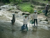 thailand-trip-with-elephants-01