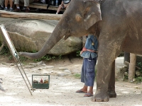 thailand-trip-with-elephants-23