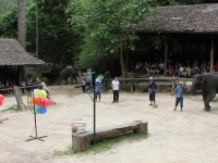 thailand-trip-with-elephants-28