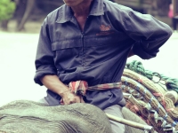thailand-trip-with-elephants-30