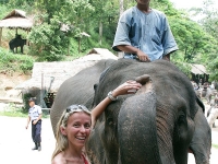 thailand-trip-with-elephants-31